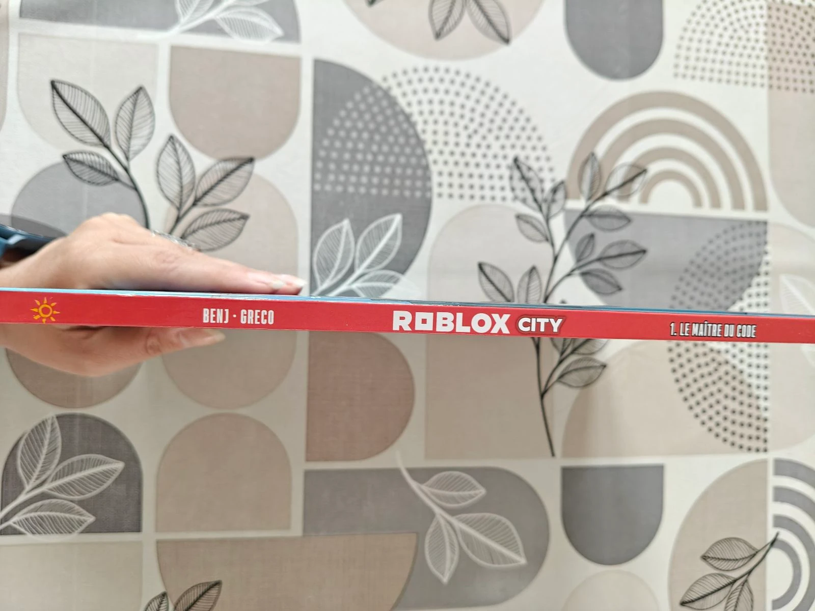 Bd roblox city volume 1 the master of the code – photo 3